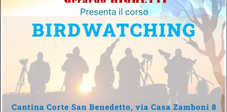 10 febbraio 2023 ore 20.30 – Gerardo presenta BIRDWATCHING